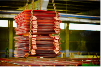 Copper Cathode